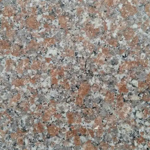 1742895808207.jpg