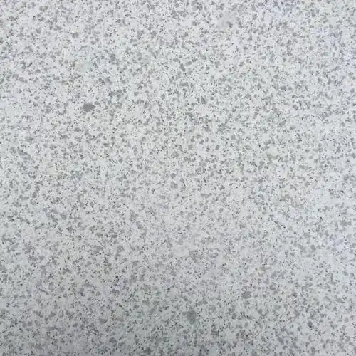 1742894662610.jpg